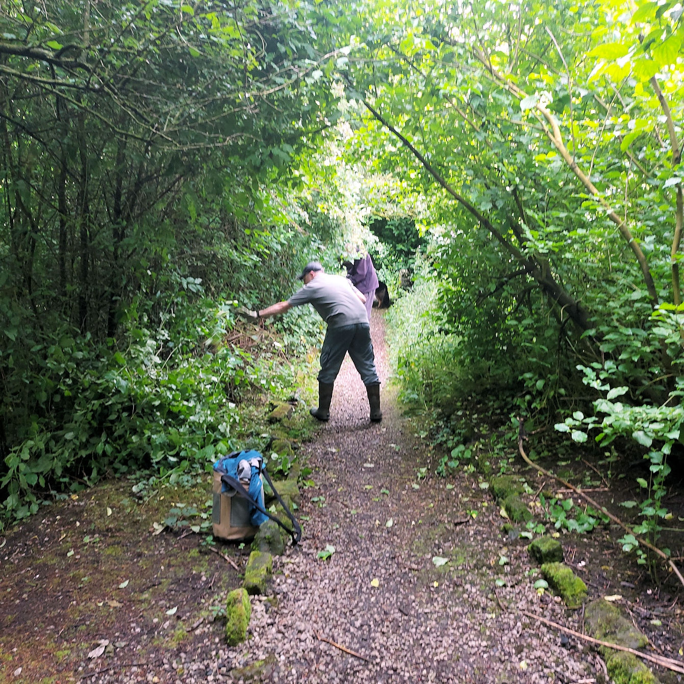 Rainy workday and a new species! Low Moor and Oakenshaw Wildlife